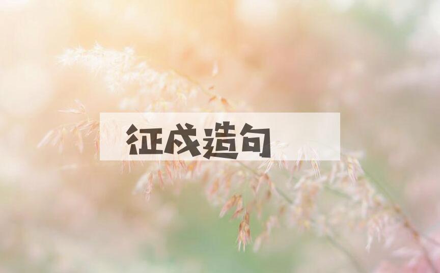 用征戍造句