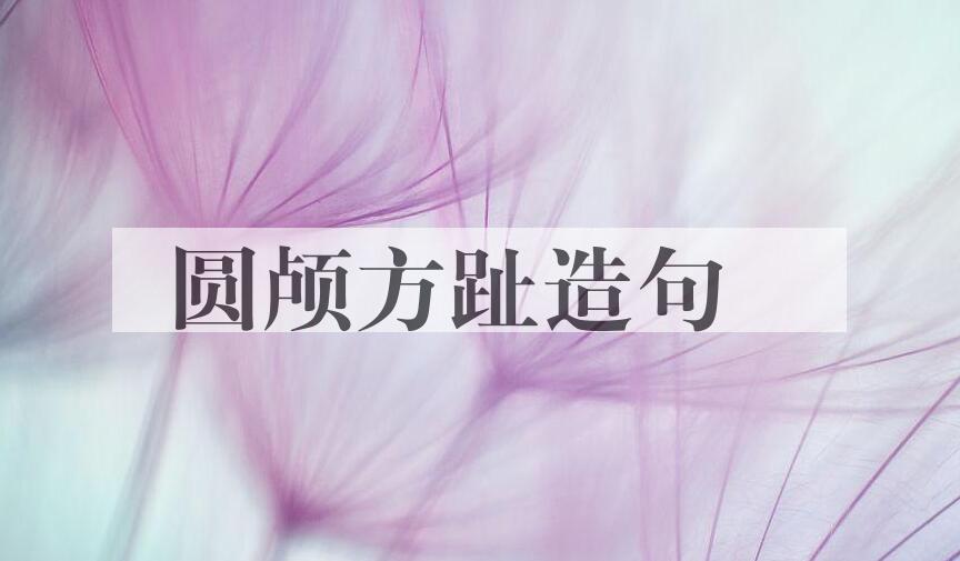 用圆颅方趾造句
