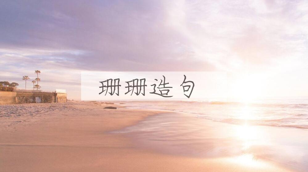 用珊珊造句