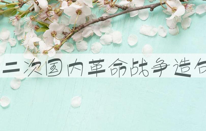用第二次国内革命战争造句