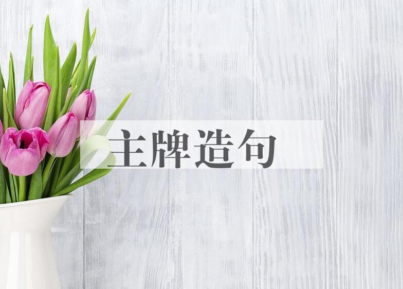 用主牌造句
