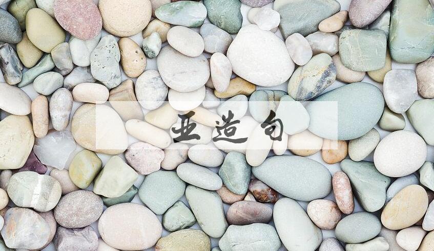 用南亚造句