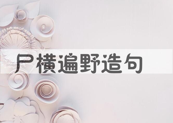 用尸横遍野造句