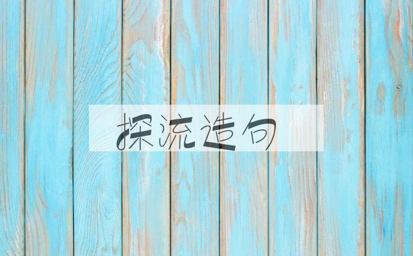 用探流造句