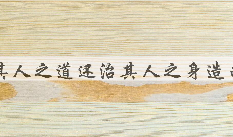 用以其人之道还治其人之身造句