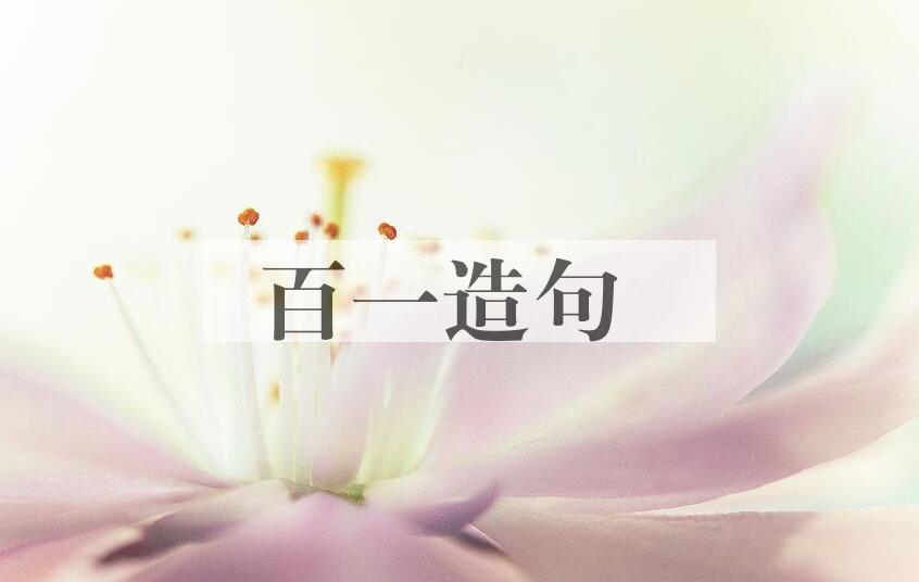 用百一造句