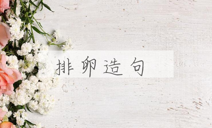 用排卵造句