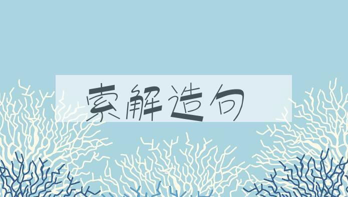 用索解造句