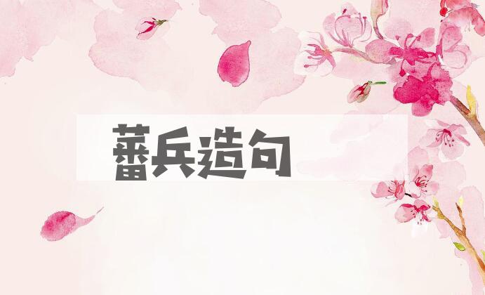 用蕃兵造句