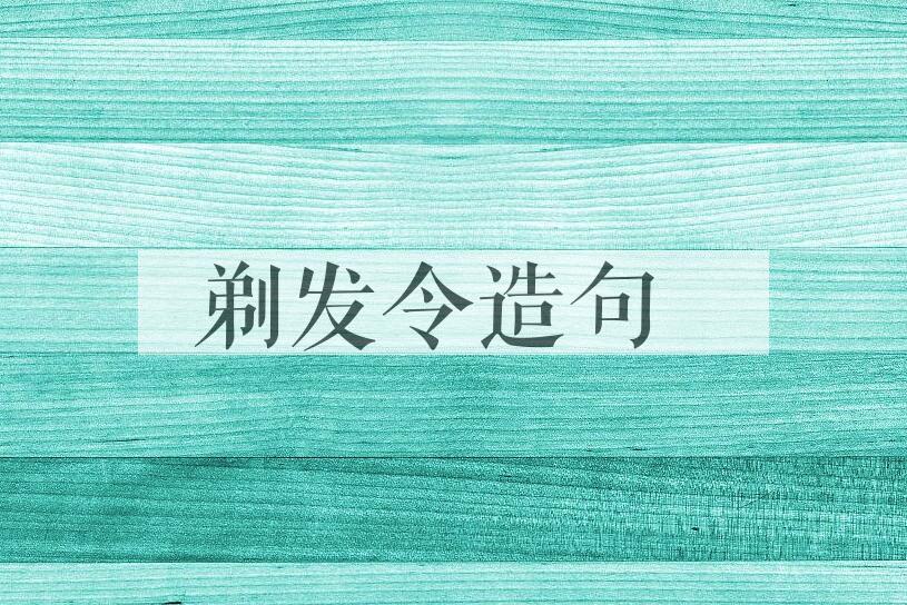 用剃发令造句