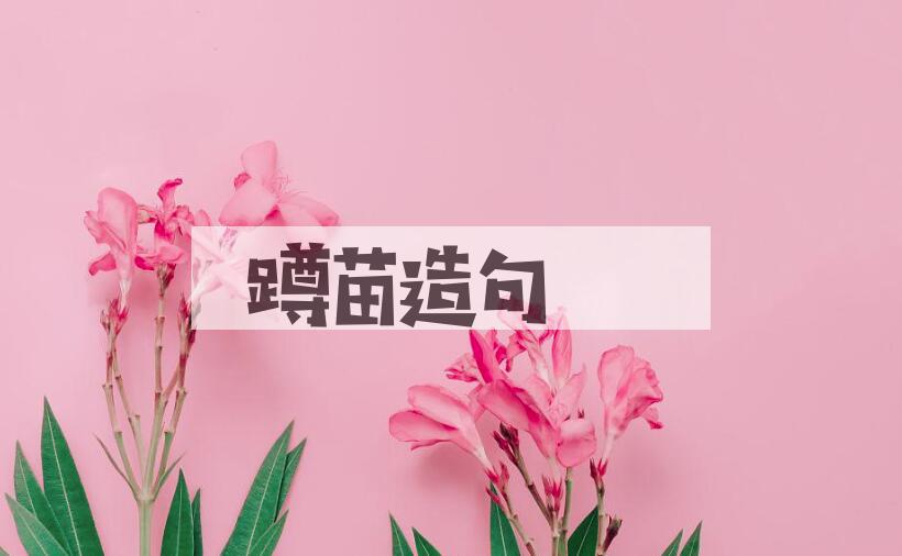 用蹲苗造句