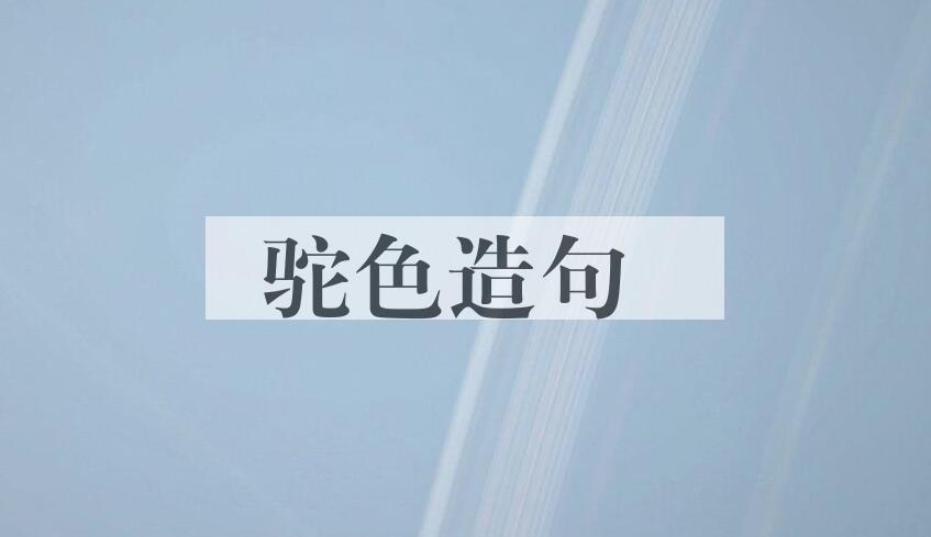 用驼色造句