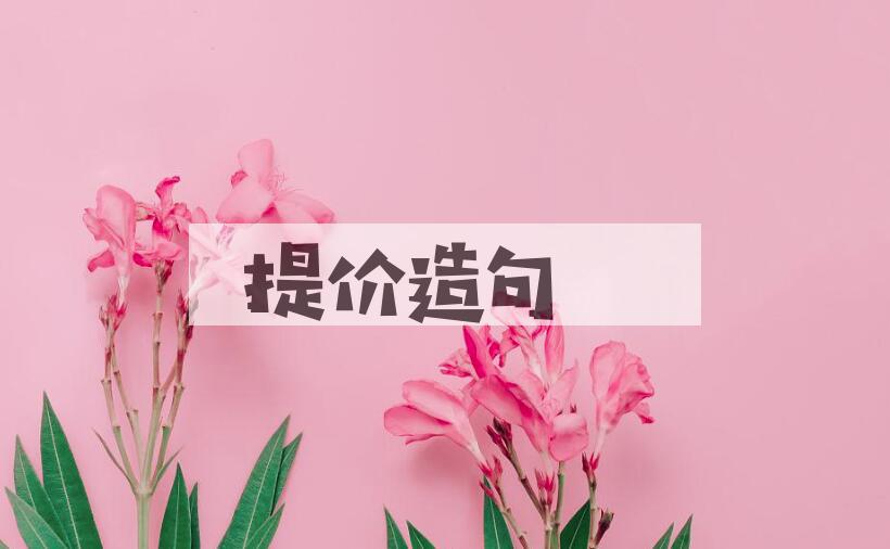 用提价造句