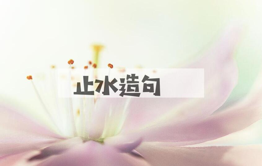 用止水造句