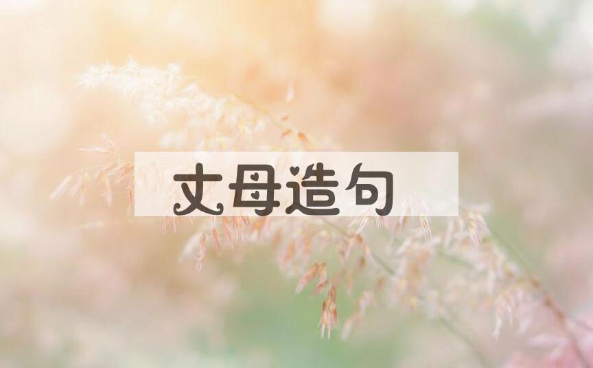 用丈母造句