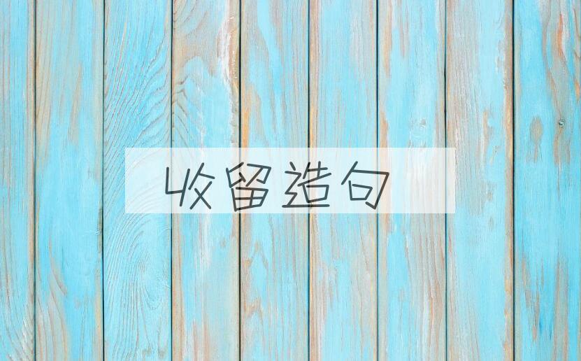 用收留造句