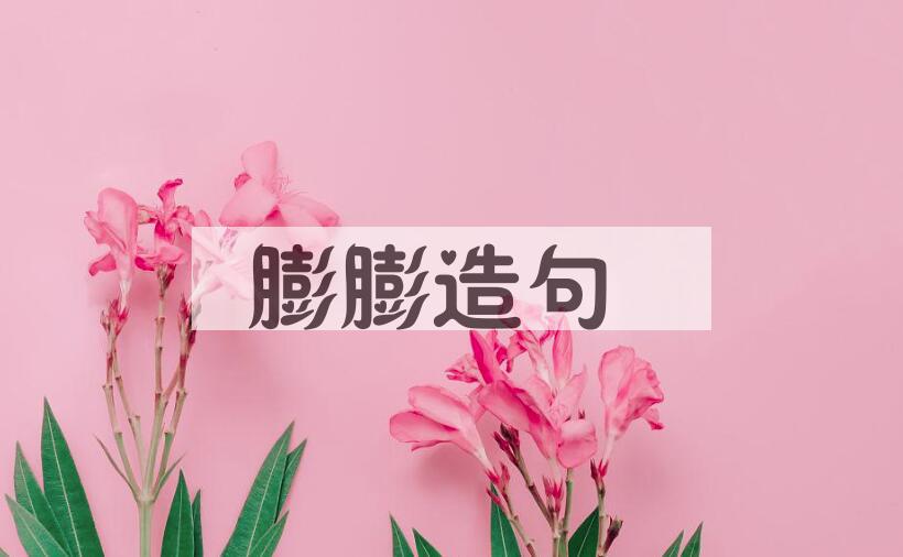 用膨膨造句