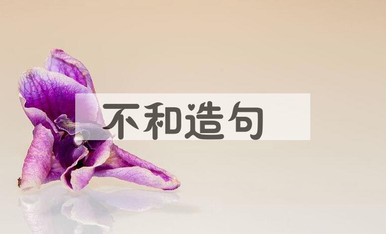 用不和造句
