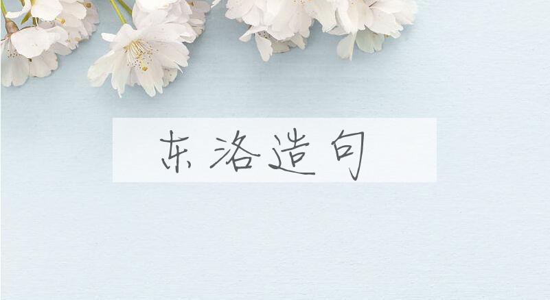 用东洛造句