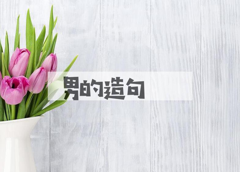 用男的造句