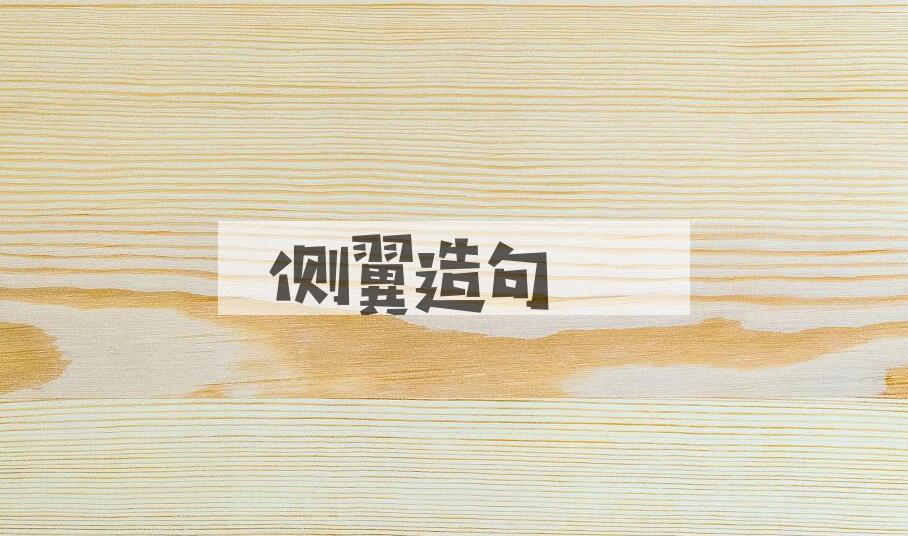 用侧翼造句