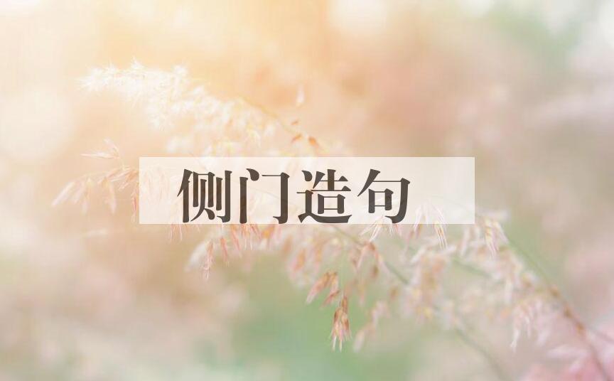 用侧门造句