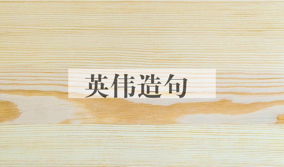 用英伟造句