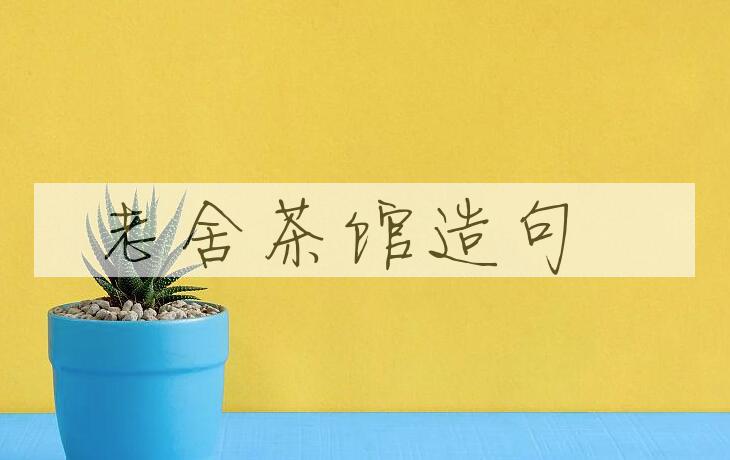用老舍茶馆造句