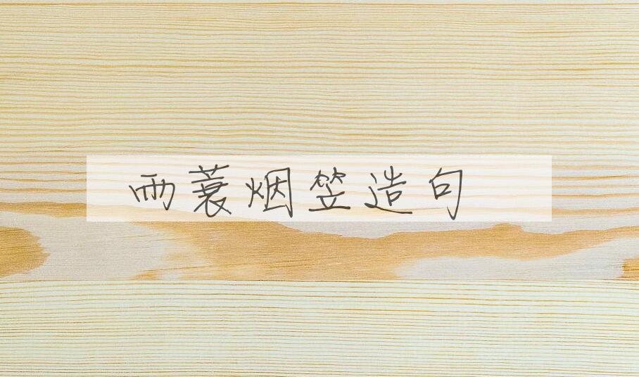 用雨蓑烟笠造句