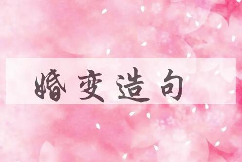 用婚变造句