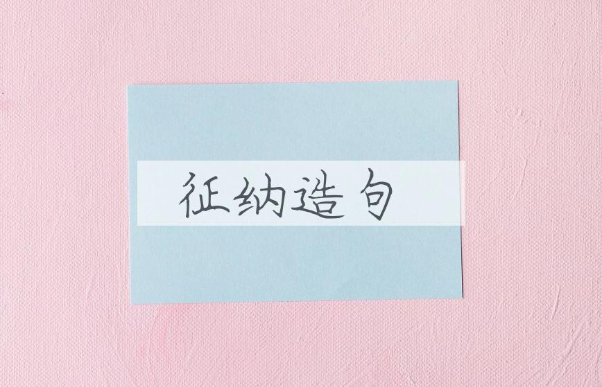 用征纳造句