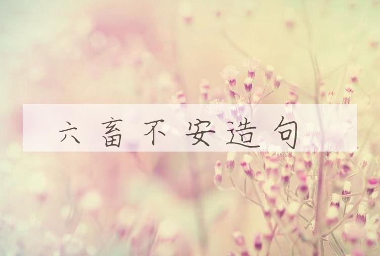 用六畜不安造句