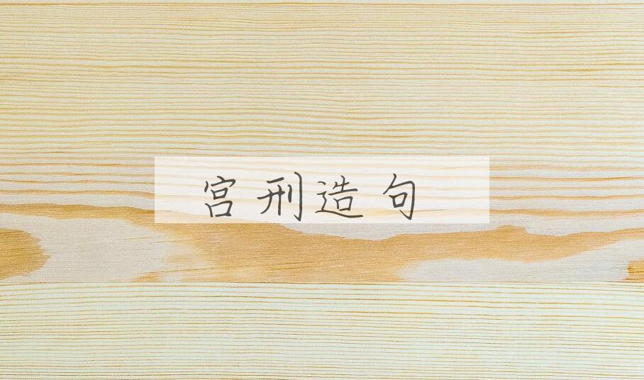 用宫刑造句