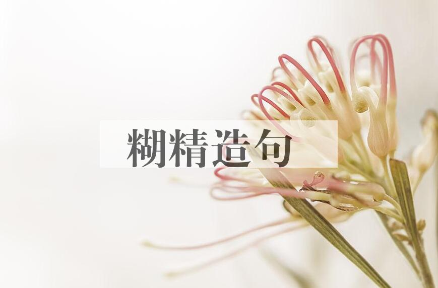 用糊精造句