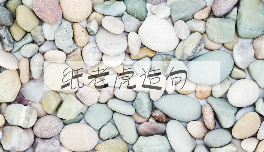 用纸老虎造句