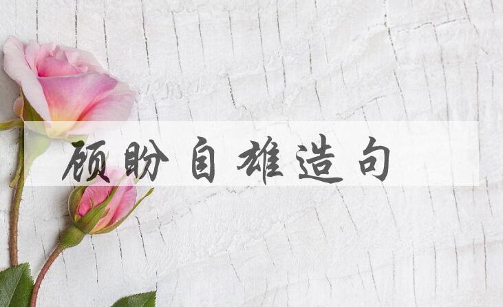 用顾盼自雄造句