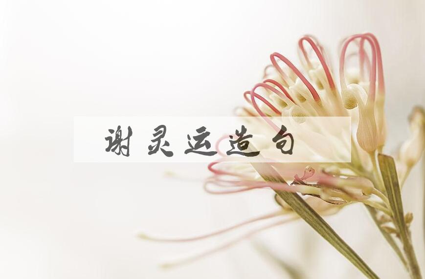 用谢灵运造句