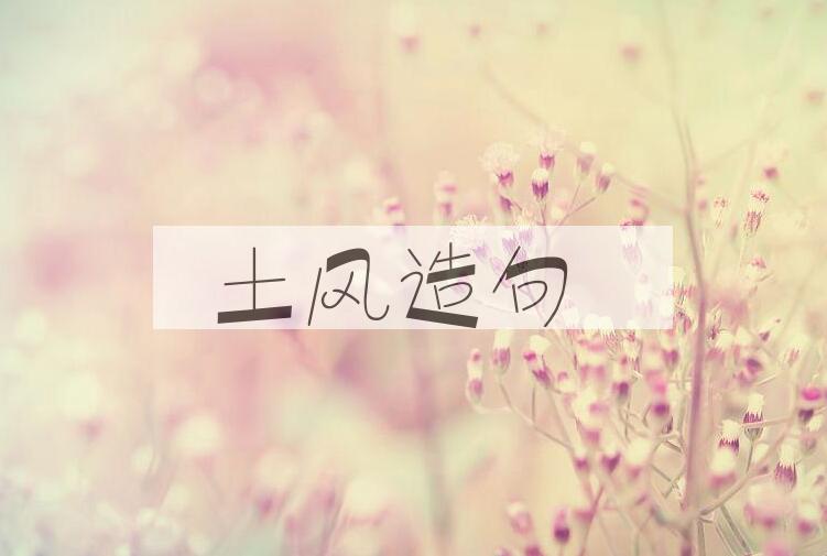 用土风造句