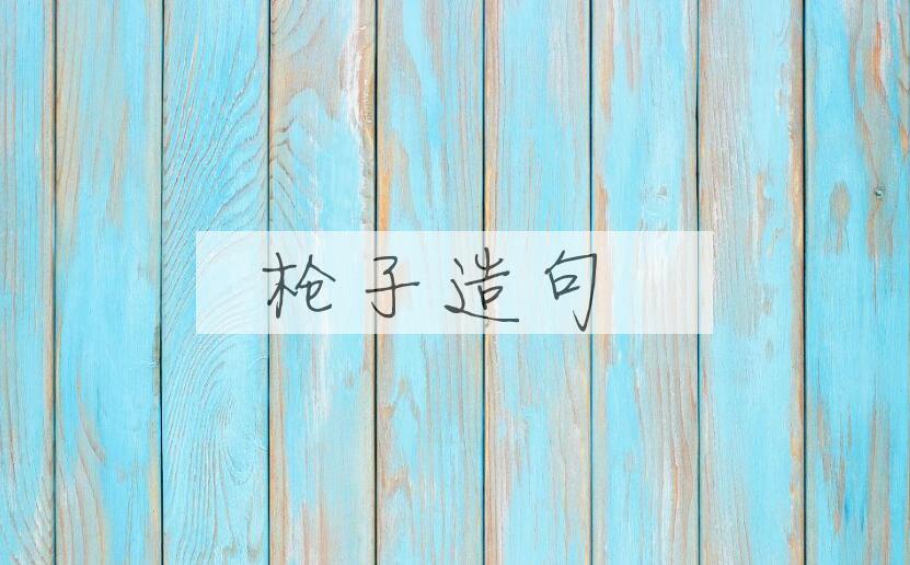 用枪子造句