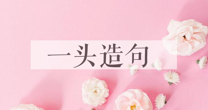 用一头造句