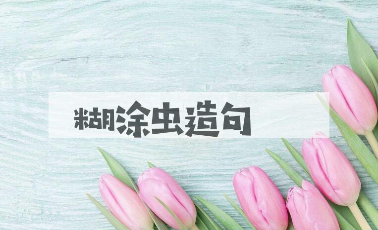 用糊涂虫造句
