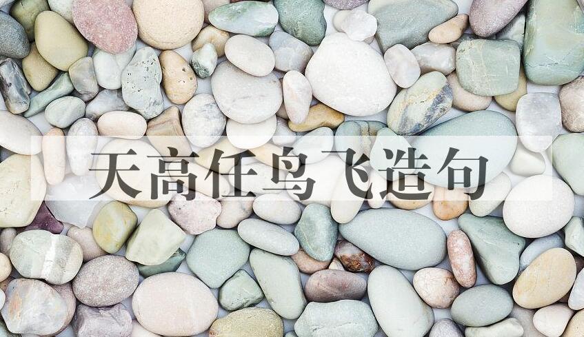 用天高任鸟飞造句