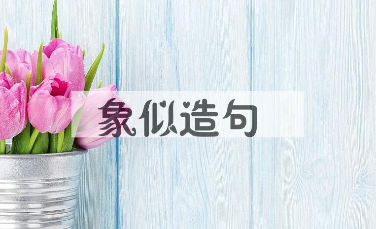 用象似造句