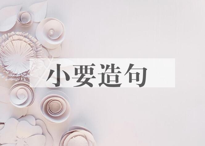 用小要造句