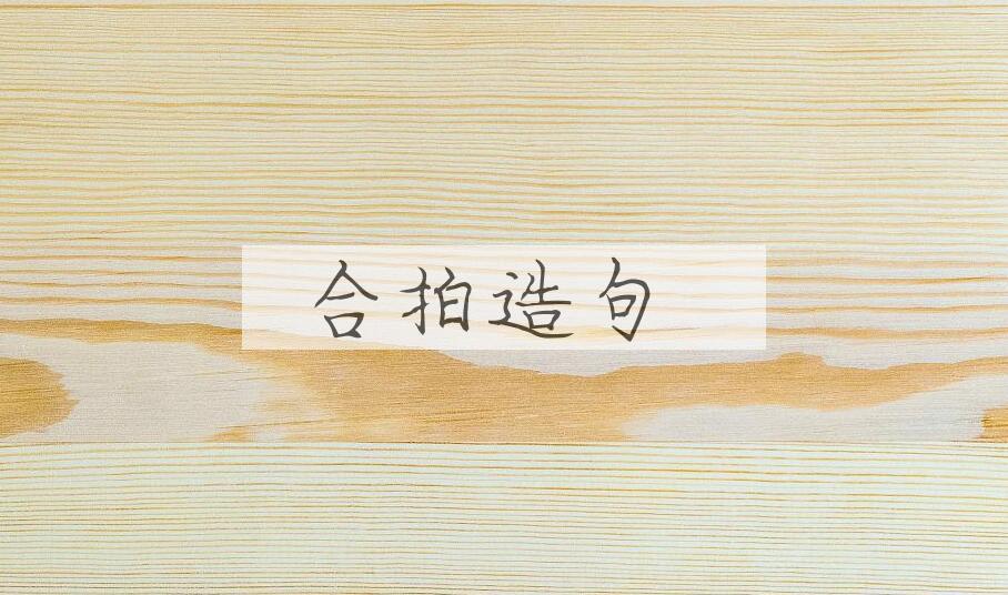 用合拍造句