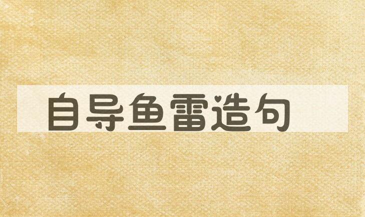 用自导鱼雷造句