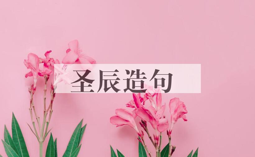 用圣辰造句
