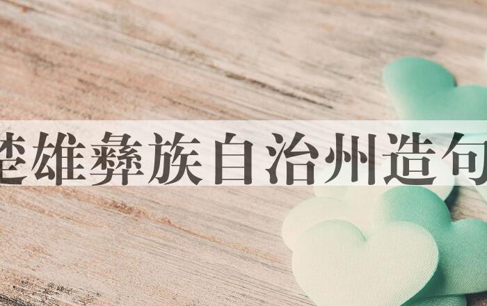 用楚雄彝族自治州造句