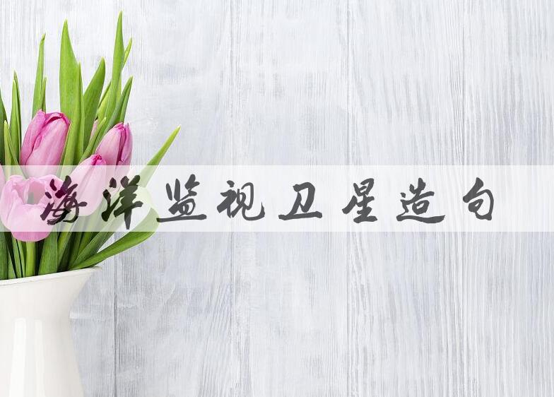 用海洋监视卫星造句