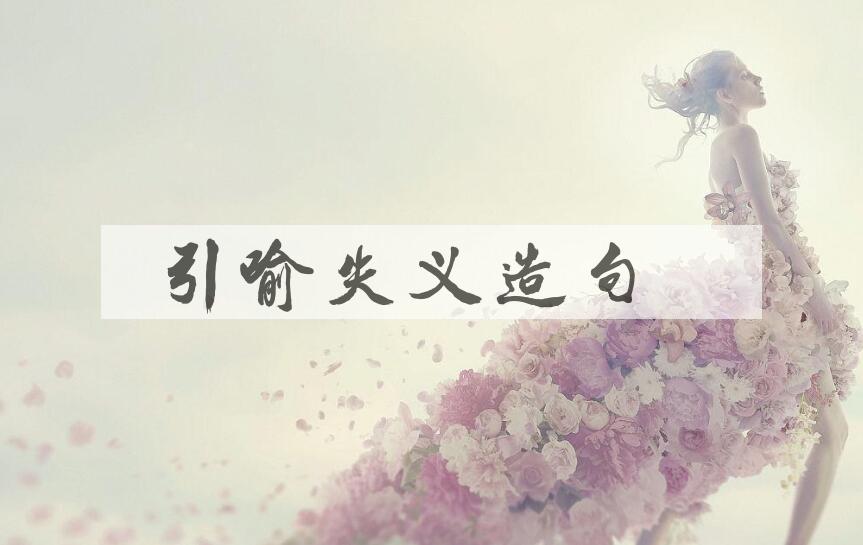 用引喻失义造句